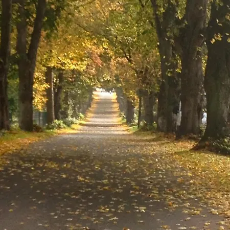 Gemuetliches Im Dachgeschoss By Interhome アパート