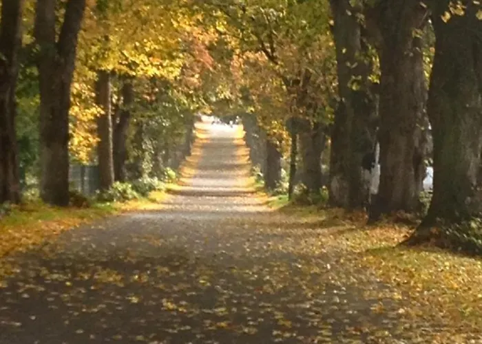 Gemuetliches Im Dachgeschoss By Interhome アパート